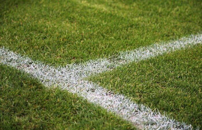 Closeup shot of painted white lines on a green soccer field in Germany